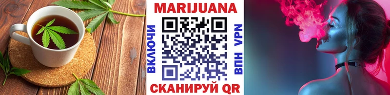 Canna-Cookies марихуана  Купить  Будённовск 