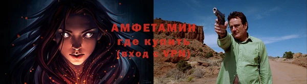 амф Касимов
