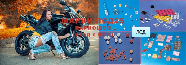 шишки Карталы