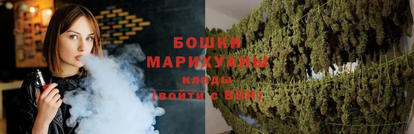 шишки Карталы