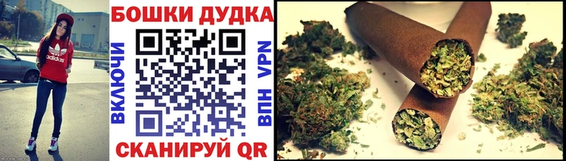 Купить закладки  Будённовск  Бошки Шишки гибрид 